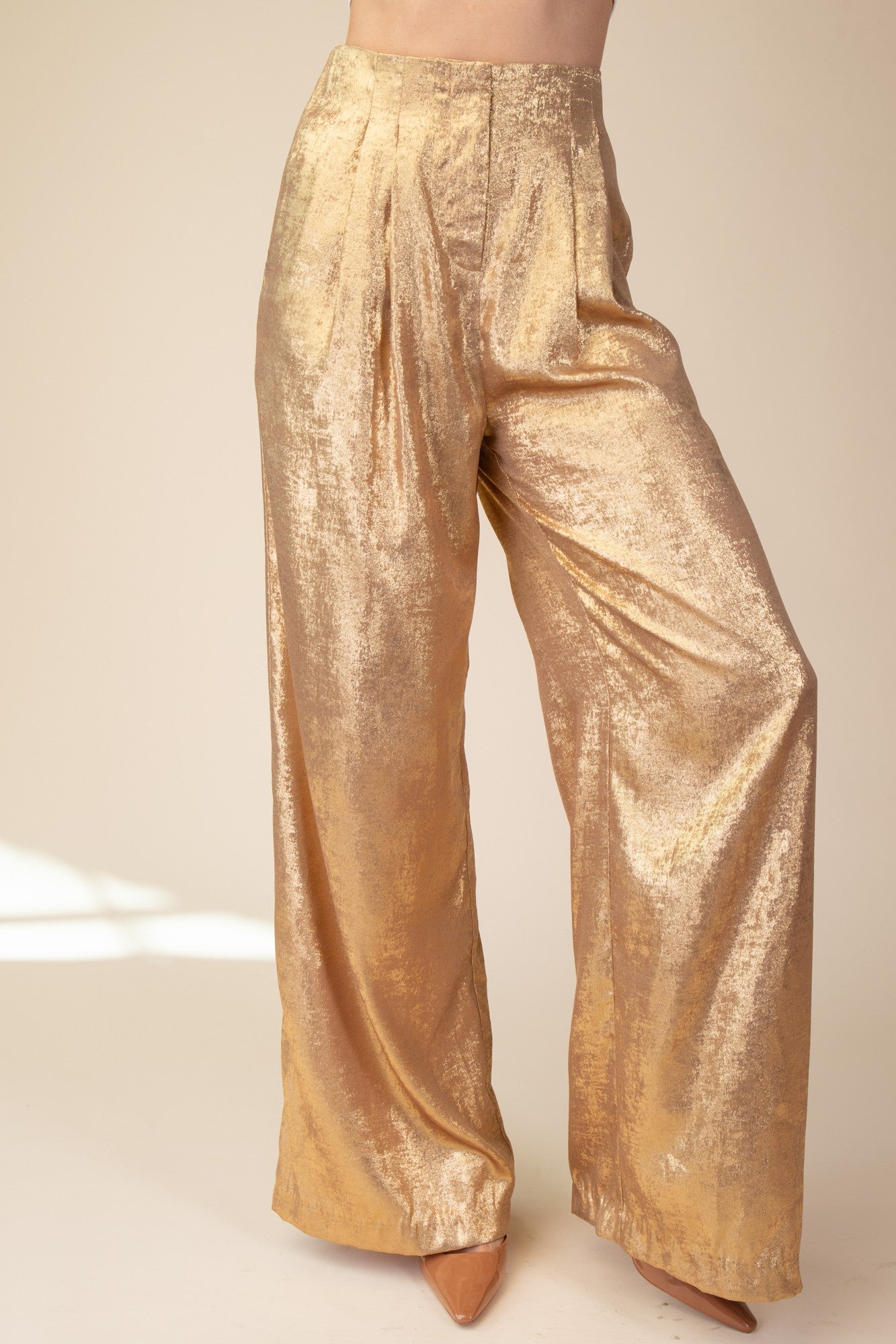 Wide Leg Front Pleats Pants GP710