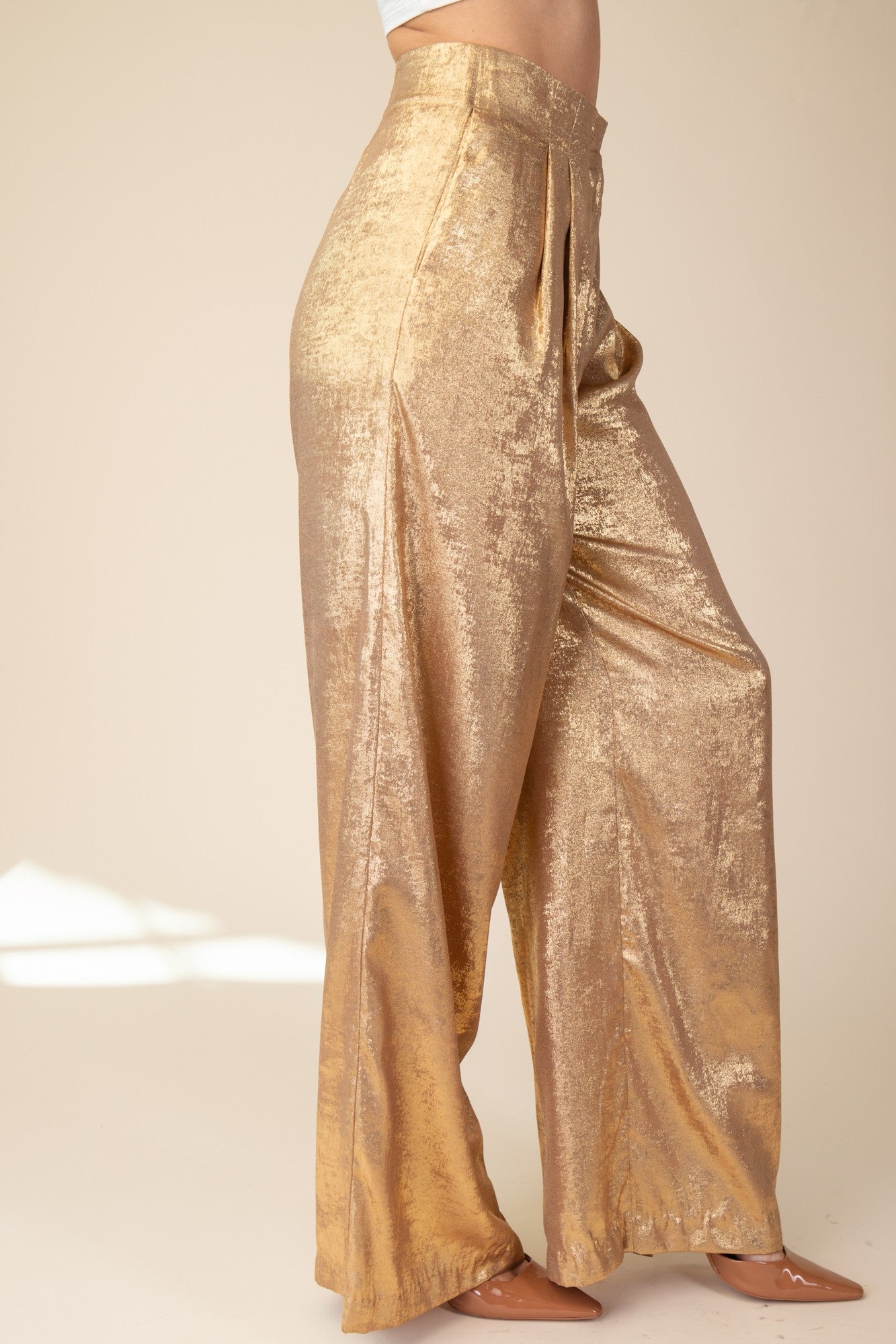 Wide Leg Front Pleats Pants GP710