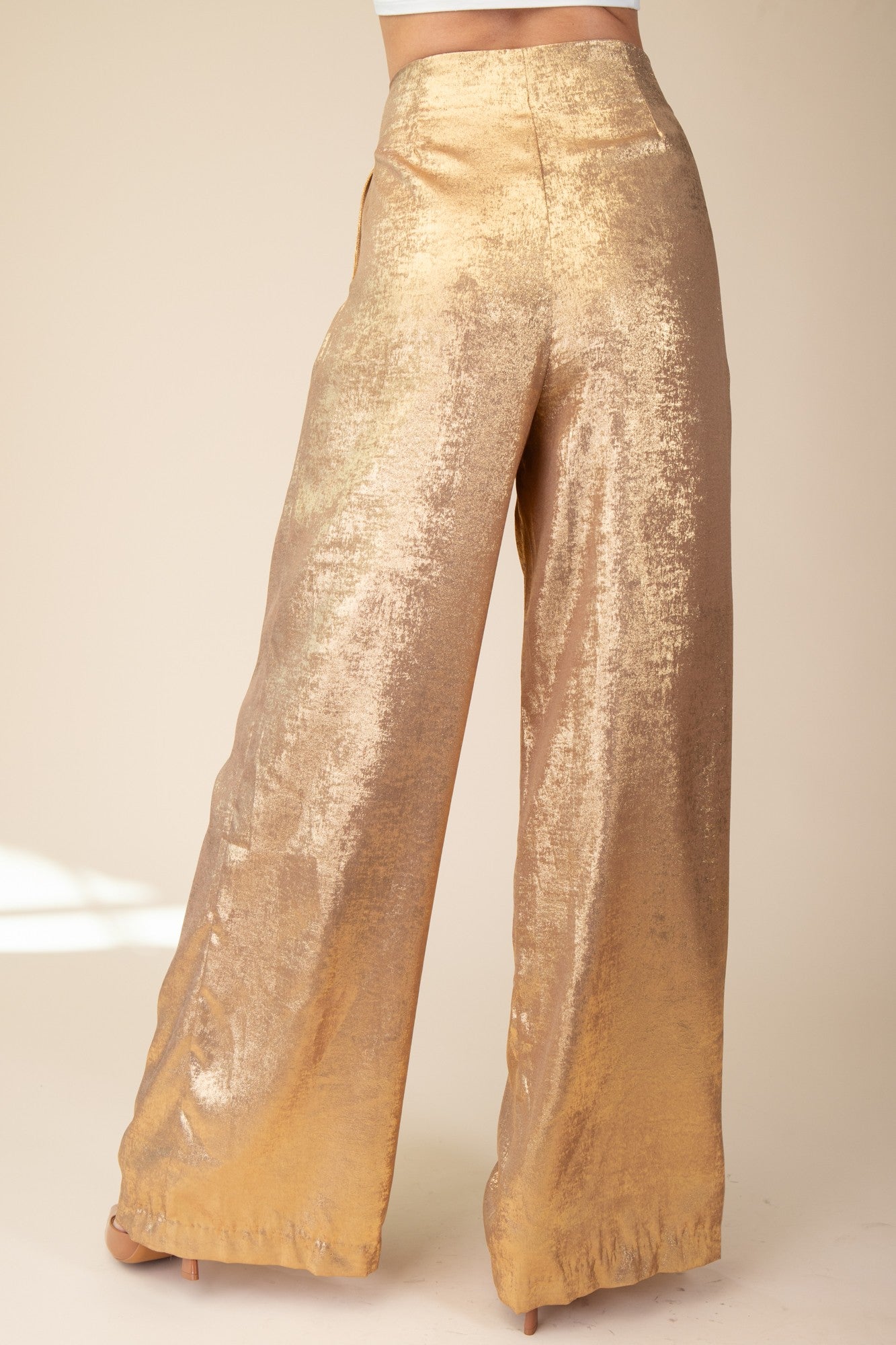 Wide Leg Front Pleats Pants GP710