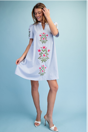 Floral Embroidered V-neck Dress TE1891.
