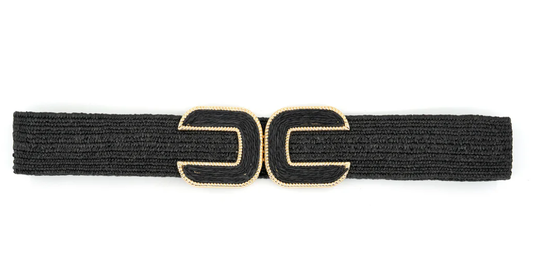 BC196 Belt