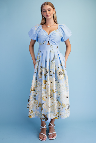 Floral Print Pleated Midi Dress  TY1253