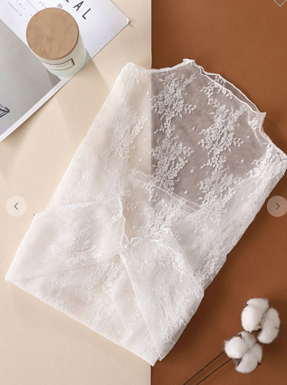Sheer Lace Long Sleeve Top JN24P010T