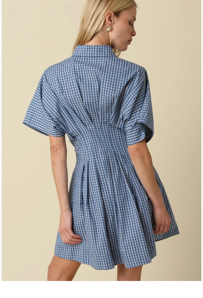 Alana Gingham Button-Front Dress 2600-912LDB