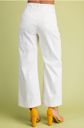 Ankle Cropped Exposed Zipper Pants  TE1712