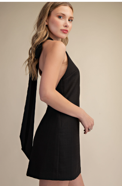 Halter Neck Open Back Bow Mini Dress  D9093